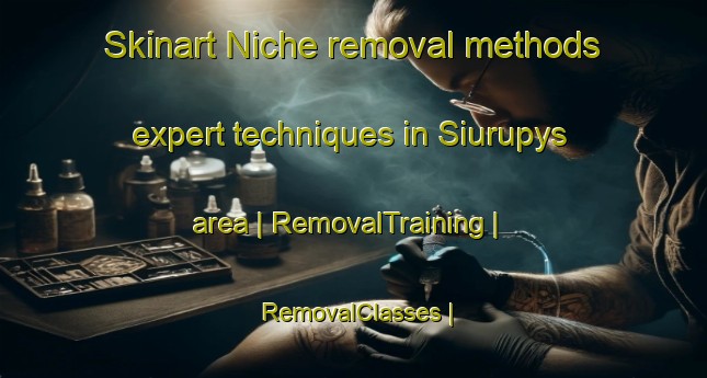Skinart Niche removal methods expert techniques in Siurupys area | RemovalTraining | RemovalClasses | SkinartTraining-Lithuania